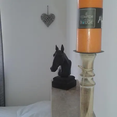 Semesterbostad Haras De Blingel