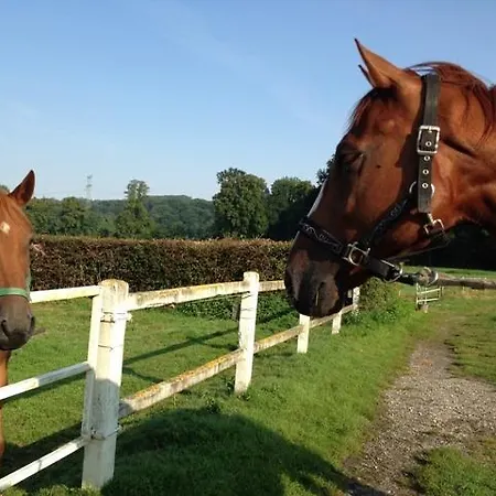 Haras De